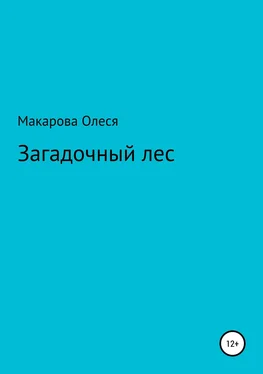 Олеся Макарова Загадочный лес обложка книги