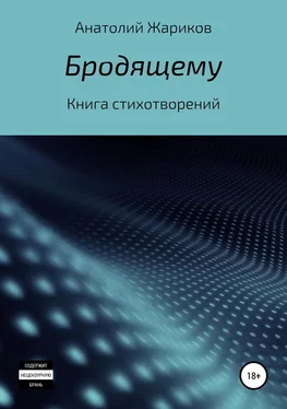 Анатолий Жариков Бродящему обложка книги
