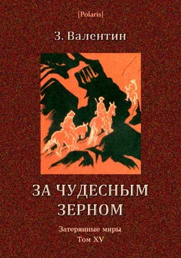 З. Валентин За чудесным зерном обложка книги