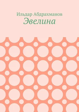 Ильдар Абдрахманов Эвелина обложка книги