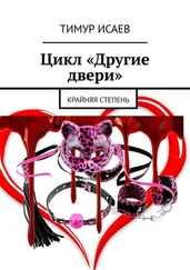 Тимур Исаев - Крайняя степень