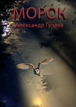 Александр Гуляев Морок обложка книги