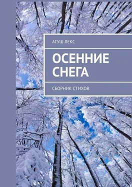 Агуш Лекс Осенние снега. Сборник стихов обложка книги