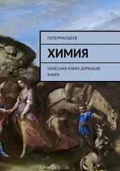 ПеПермалдеев - Химия. Небесная книга. Дурацкая книга