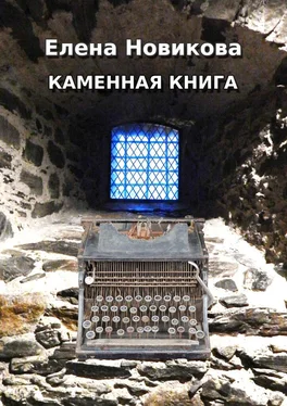 Елена Новикова Каменная книга обложка книги