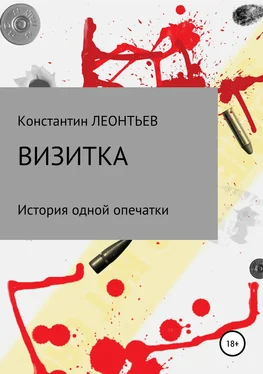 Константин Леонтьев Визитка. История одной опечатки обложка книги