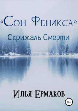 Илья Ермаков «Сон Феникса»: Скрижаль Смерти обложка книги