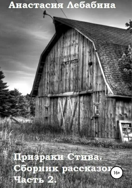 Анастасия Лебабина Призраки Стива. Сборник рассказов. Часть 2 обложка книги