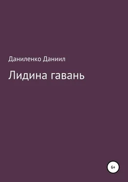 Даниил Даниленко «Лидина гавань» обложка книги
