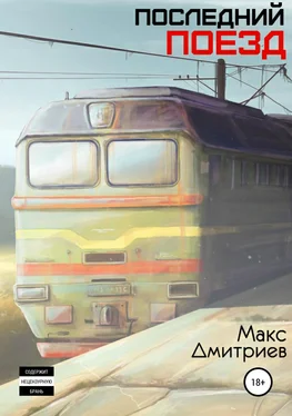 Максим Дмитриев Последний поезд обложка книги