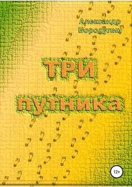 Александр Бородулин Три путника обложка книги