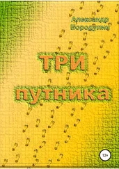 Александр Бородулин - Три путника