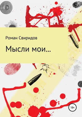 Роман Свиридов Мысли мои… обложка книги