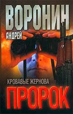 Андрей Воронин Кровавые жернова обложка книги