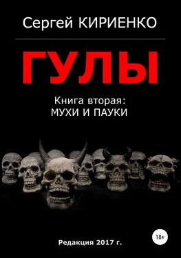 Сергей Кириенко Гулы. Книга вторая: Мухи и пауки обложка книги