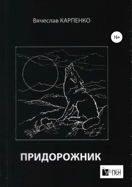 Вячеслав Карпенко Придорожник обложка книги