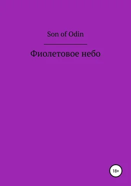 Son Odin Фиолетовое небо обложка книги