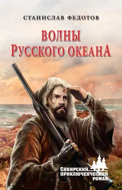 Станислав Федотов Волны Русского океана обложка книги