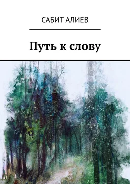 Сабит Алиев Путь к слову обложка книги