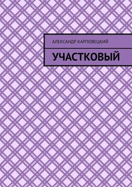Александр Карповецкий Участковый обложка книги