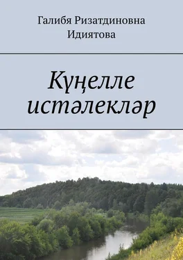 Галибя Идиятова Күңелле истәлекләр обложка книги