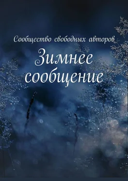 Елизавета Клейн Зимнее сообщение обложка книги