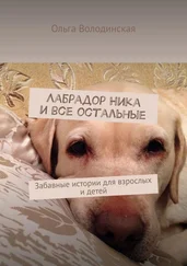 Ольга Володинская - Лабрадор Ника и все остальные. Забавные истории для взрослых и детей