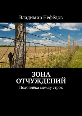 Владимир Нефёдов Зона отчуждений. Подоплёка между строк обложка книги