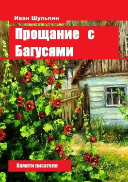 Иван Шульпин Прощание с Багусями. Памяти писателя обложка книги