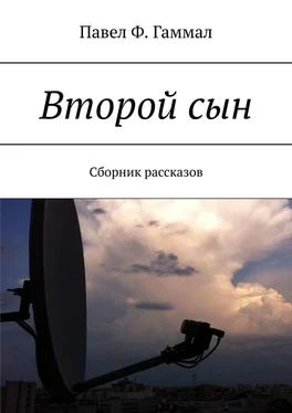 Павел Гаммал Второй сын. Сборник рассказов обложка книги