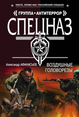 Александр Афанасьев Воздушные головорезы обложка книги