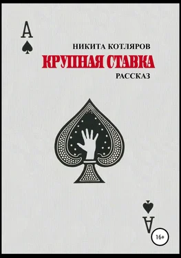 Никита Котляров Крупная ставка обложка книги