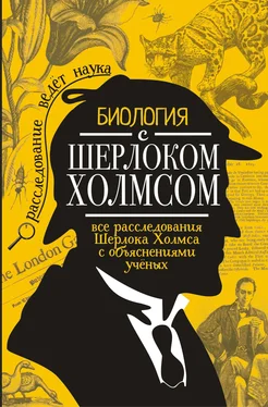 Михаил Молюков Биология с Шерлоком Холмсом обложка книги