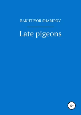 Bakhtiyor Sharipov Late pigeons обложка книги