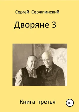 Сергей Сержпинский Дворяне. Книга 3 обложка книги