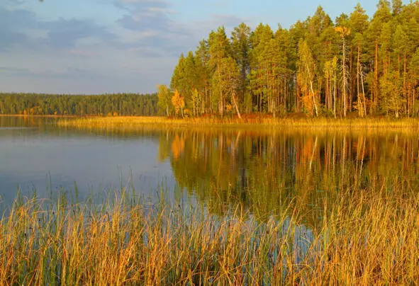 Ноябрем потянуло Какое утро бывает в ноябре Виноградное тыквенное - фото 2