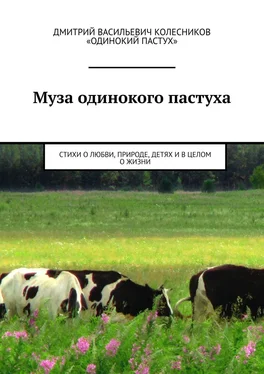 Дмитрий Колесников Муза одинокого пастуха. Стихи обложка книги