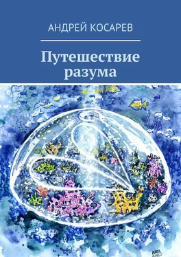 Андрей Косарев Путешествие разума обложка книги