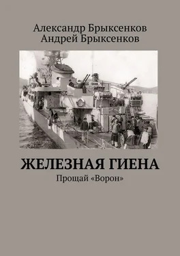 Андрей Брыксенков Железная гиена. Прощай «Ворон» обложка книги