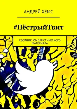 Андрей Хемс #ПёстрыйТвит. Сборник юмористического материала обложка книги