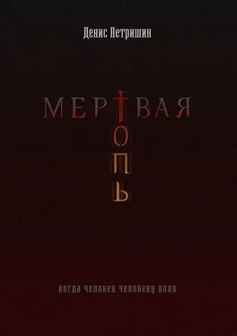 Денис Петришин Мертвая топь обложка книги