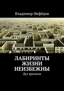 Владимир Нефёдов Лабиринты жизни неизбежны. Дух времени обложка книги