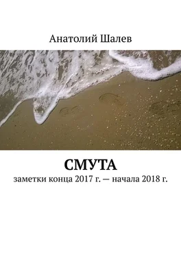 Анатолий Шалев Смута. Заметки конца 2017 г. – начала 2018 г. обложка книги