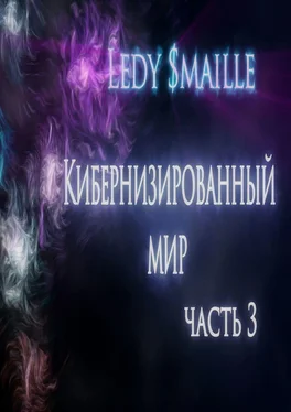 Ledy $maille Кибернизированный мир. Часть 3 обложка книги