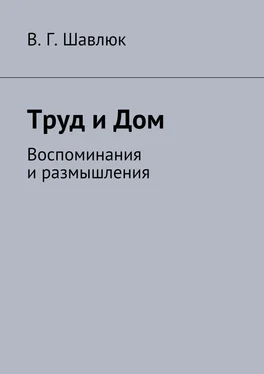 Василий Шавлюк Труд и Дом. Воспоминания и размышления обложка книги