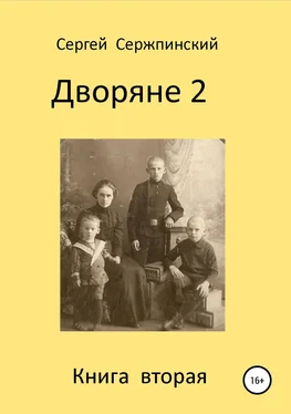 Сергей Сержпинский Дворяне 2 обложка книги