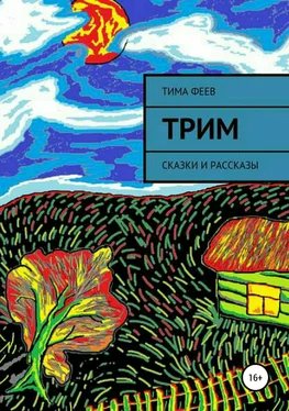 Тима Феев Трим. Сборник рассказов обложка книги