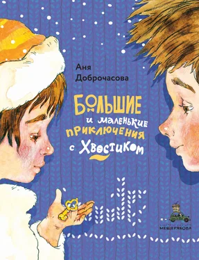 Аня Доброчасова Большие и маленькие приключения с Хвостиком обложка книги