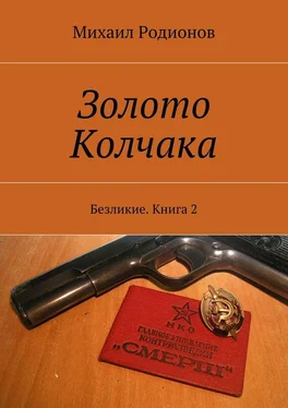 Михаил Родионов Золото Колчака. Безликие. Книга 2 обложка книги