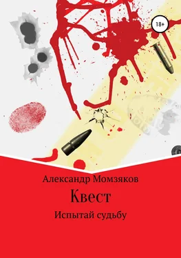 Александр Момзяков Квест обложка книги